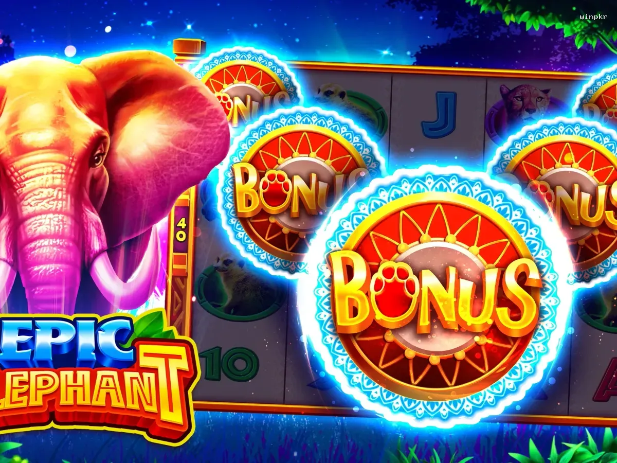 Akses winpkr VIP Premium screenshot